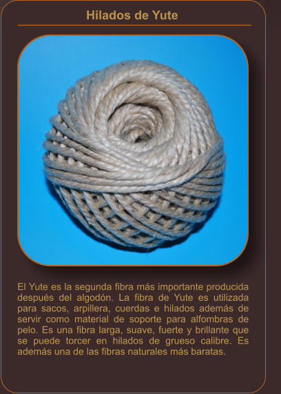 Hilados de Yute    El Yute es la segunda fibra más importante producida después del algodón. La fibra de Yute es utilizada para sacos, arpillera, cuerdas e hilados además de servir como material de soporte para alfombras de pelo. Es una fibra larga, suave, fuerte y brillante que se puede torcer en hilados de grueso calibre. Es además una de las fibras naturales más baratas.